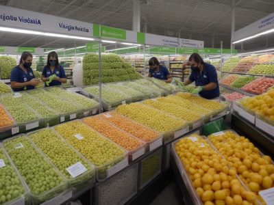 Fiscais da vigilância sanitária inspecionando um estabelecimento, garantindo o cumprimento da legislação sanitária e a segurança dos produtos.