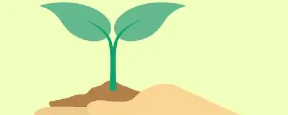 agroecologia_educamundo-02-1