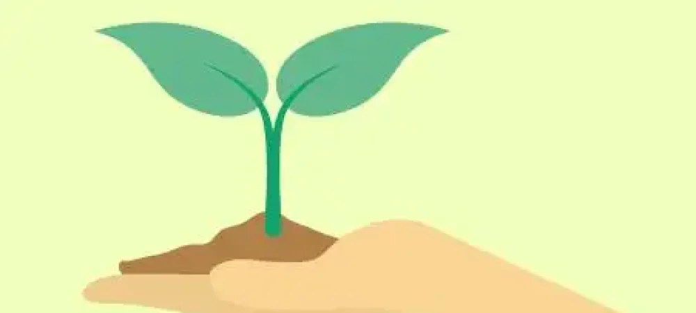 agroecologia_educamundo-02-2