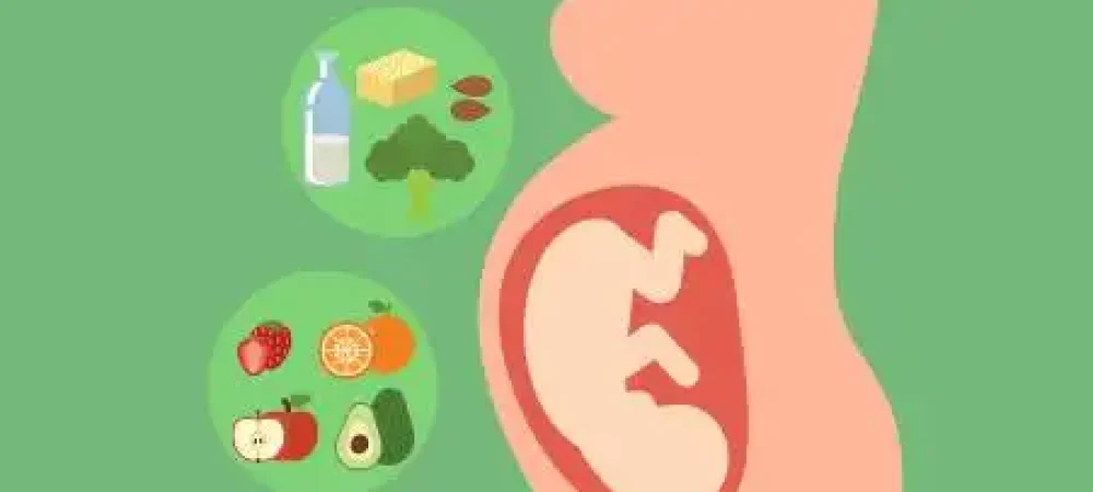 alimentacao-gravidez-centro-02-1