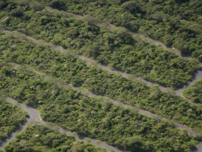 Indivíduos separando resíduos sólidos em um ambiente urbano limpo e sustentável, promovendo a reciclagem e a compostagem.