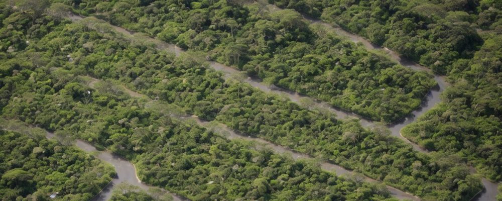 Indivíduos separando resíduos sólidos em um ambiente urbano limpo e sustentável, promovendo a reciclagem e a compostagem.