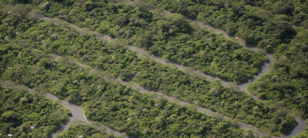Indivíduos separando resíduos sólidos em um ambiente urbano limpo e sustentável, promovendo a reciclagem e a compostagem.