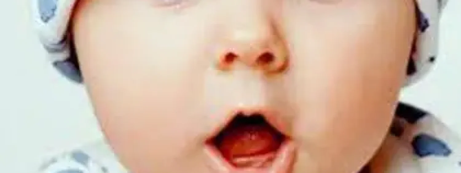 bebe bebe