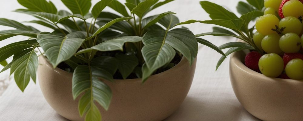 Mesa de café da manhã decorada com frutas frescas e aparelho de pressão digital, simbolizando um estilo de vida saudável.