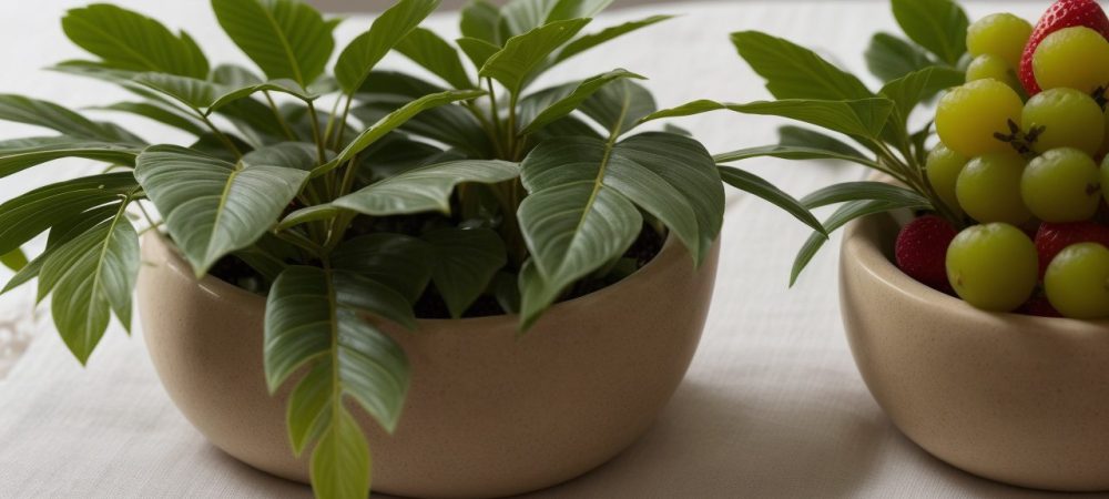 Mesa de café da manhã decorada com frutas frescas e aparelho de pressão digital, simbolizando um estilo de vida saudável.