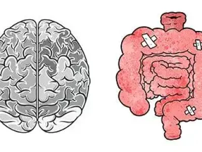 cerebro-intestino1-2-1