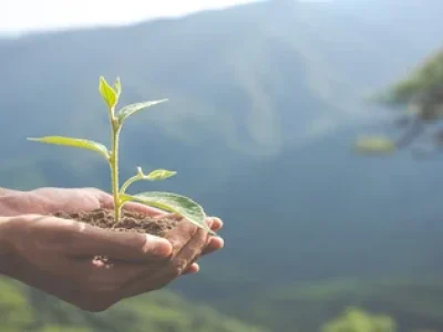 conservacao-ambiental-no-jardim-para-criancas-1