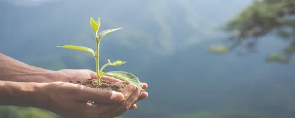 conservacao-ambiental-no-jardim-para-criancas-1