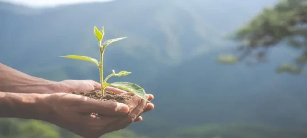 conservacao-ambiental-no-jardim-para-criancas-1