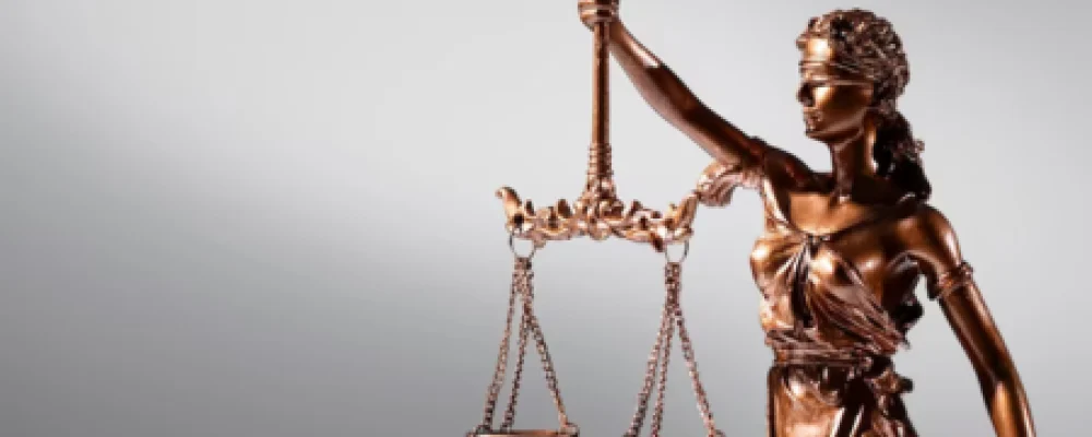 direito-constituicao