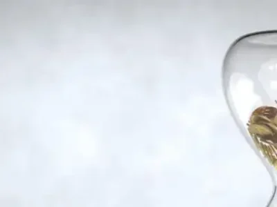 direito-previdencia-social