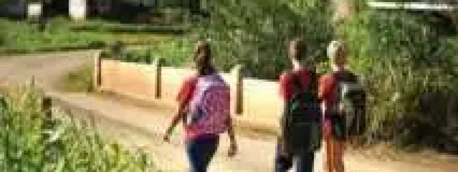 e5067ff1e8e1f4c8430ff01ed989d63e