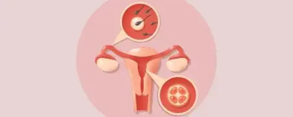 educacao-sexual-educamundo-02-1