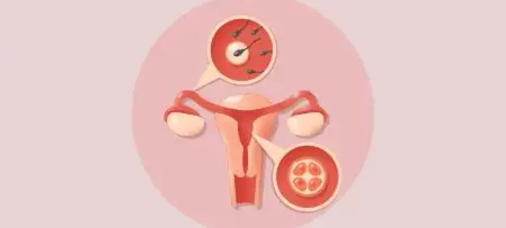 educacao-sexual-educamundo-02-1