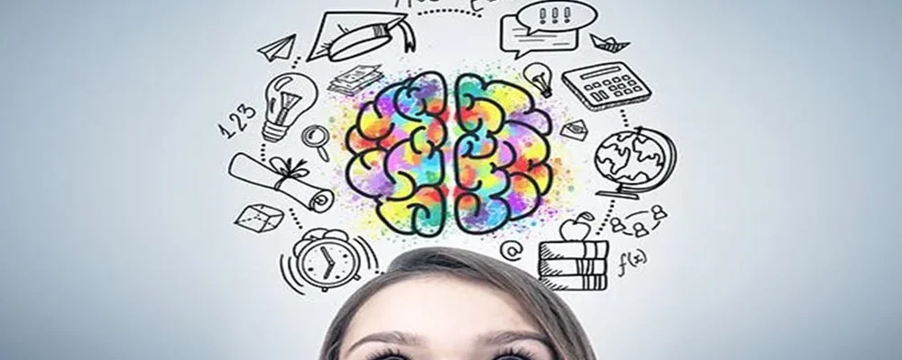 campos de experiência BNCC