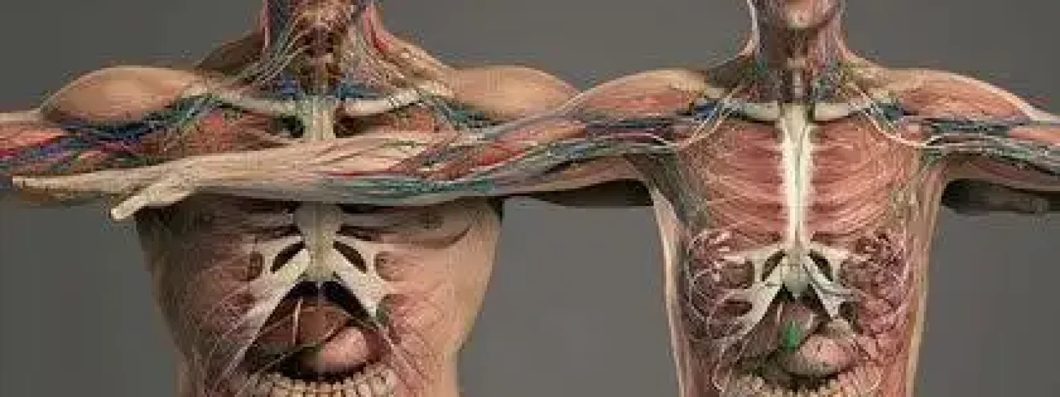 fisiologia-1 fisiologia-1
