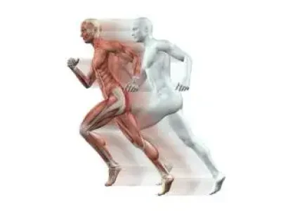 fisiologia-educamundo-2-1