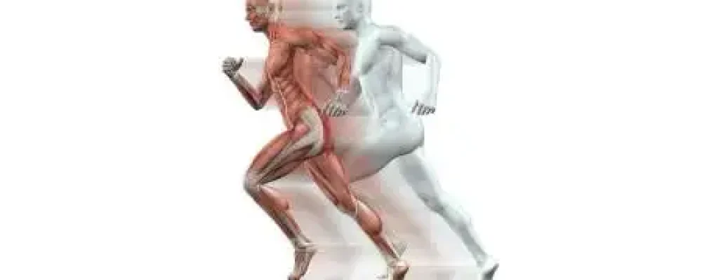 fisiologia-educamundo-2-1