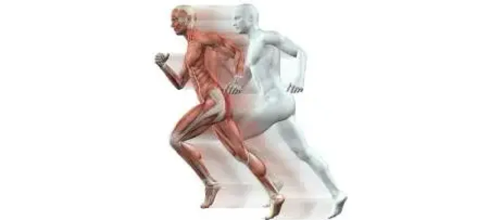 fisiologia-educamundo-2-1