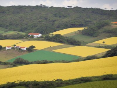 Produtores agrícolas em uma moderna fazenda no Brasil, cercados por plantações e equipamentos avançados, simbolizando a gestão de agronegócios.