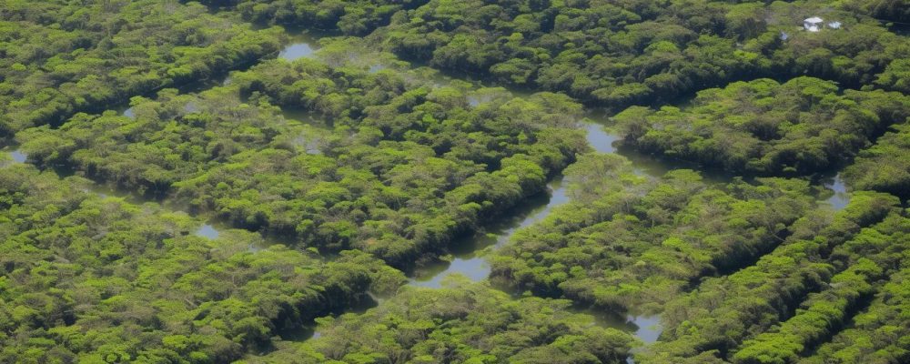 Ambiente urbano limpo com cidadãos ativamente participando da gestão de resíduos sólidos e reciclagem.