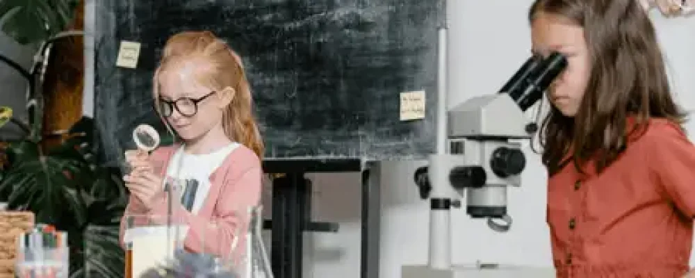 iniciacao-cientifica-2