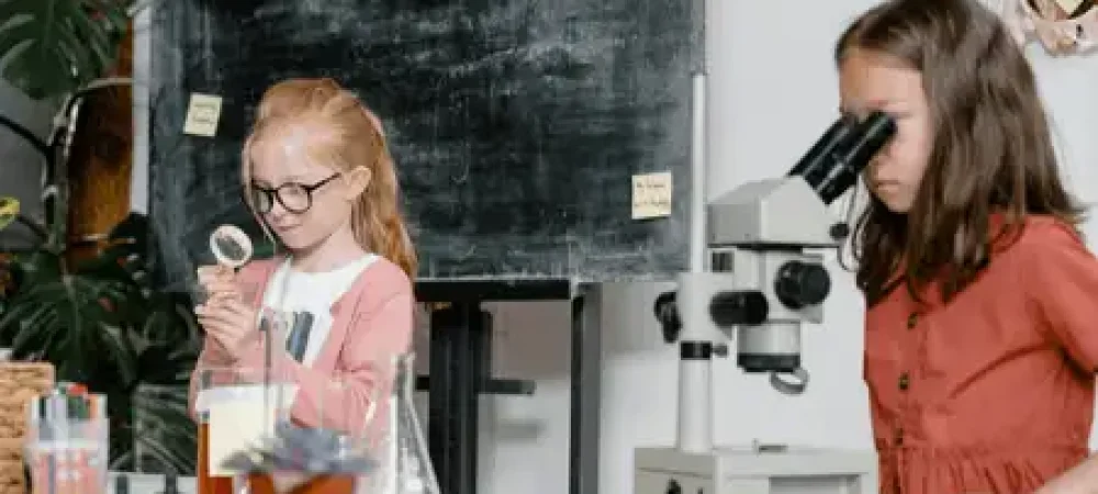 iniciacao-cientifica-2