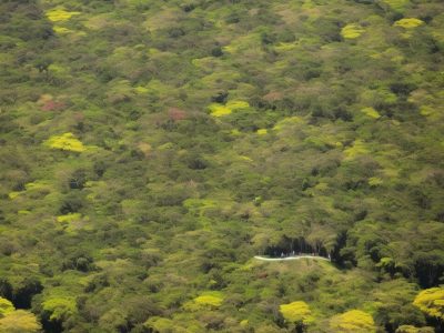 Pessoas de diversas idades e origens dialogando em um parque, promovendo direitos humanos com empatia e inclusão.
