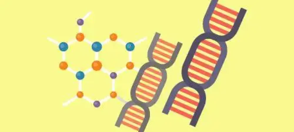 microbiologia3-1-1 microbiologia3-1-1