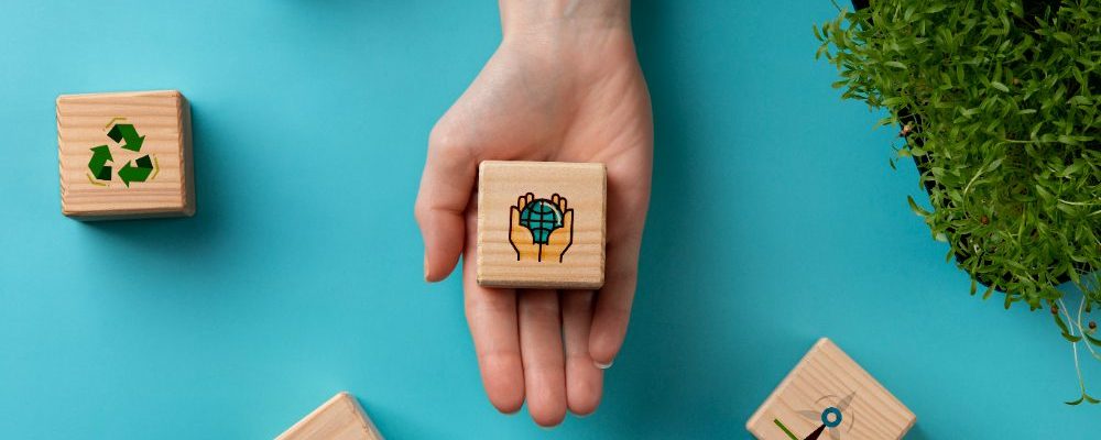 o-que-e-gestao-do-meio-ambiente-e-por-que-ela-importa-mais-do-que-voce-Imagina2