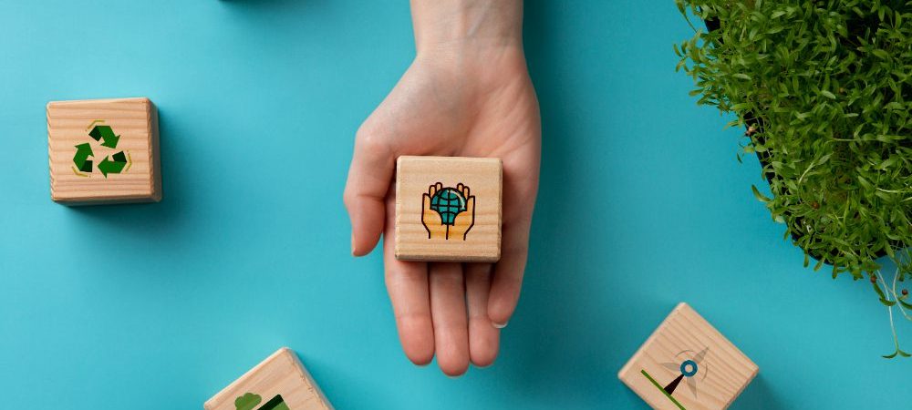 o-que-e-gestao-do-meio-ambiente-e-por-que-ela-importa-mais-do-que-voce-Imagina2