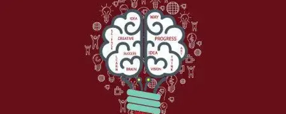 otimizacao-dos-estudos1-2-1