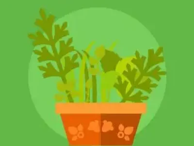 plantas-medicinais-educamundo-02-1