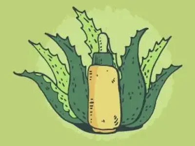 plantas-medicinais-educamundo01-02-1