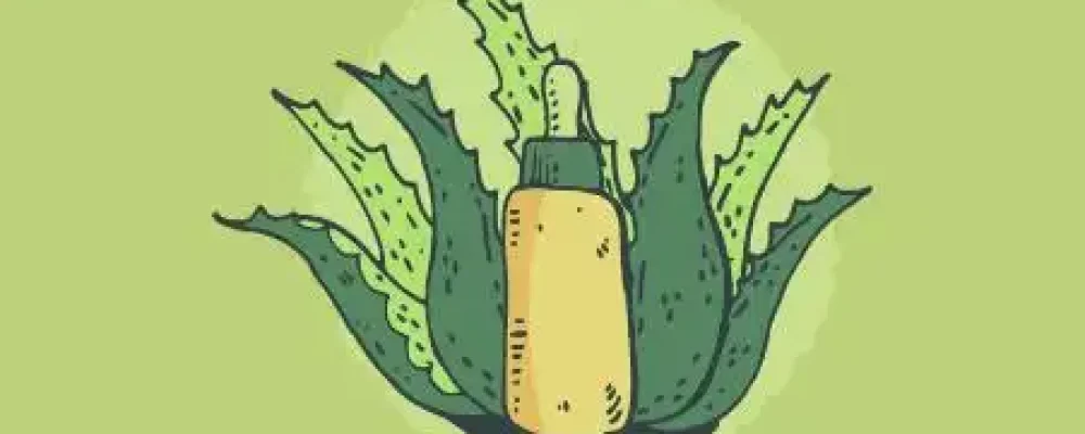 plantas-medicinais-educamundo01-02-1