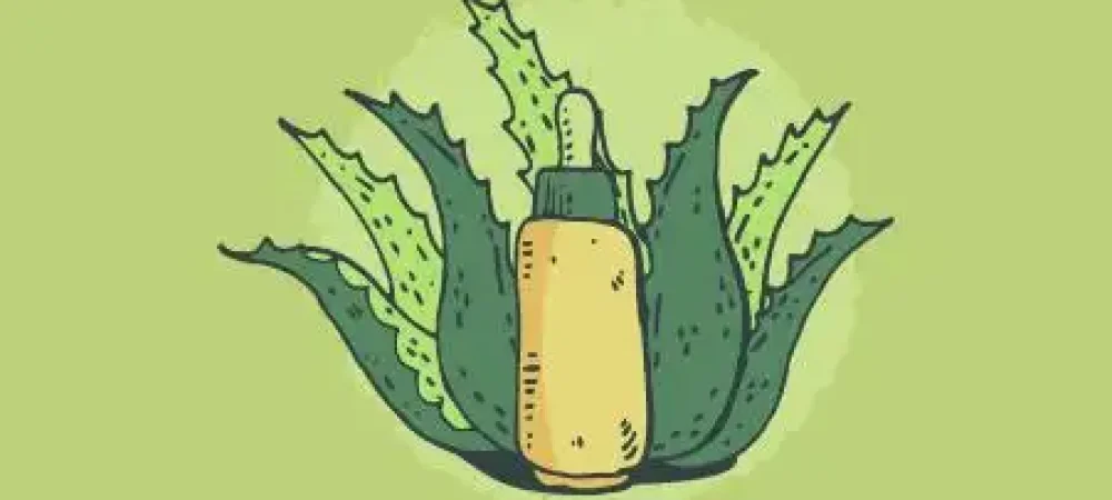 plantas-medicinais-educamundo01-02-1