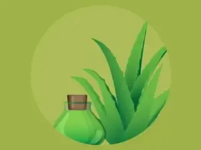 plantas-medicinais-educamundo02-02-1