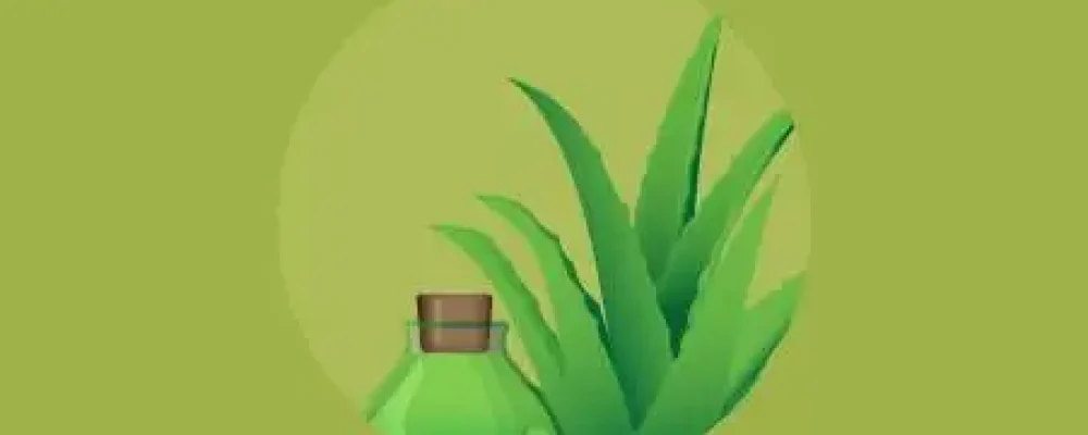 plantas-medicinais-educamundo02-02-1