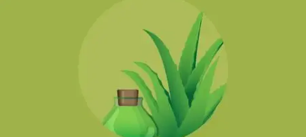 plantas-medicinais-educamundo02-02-1