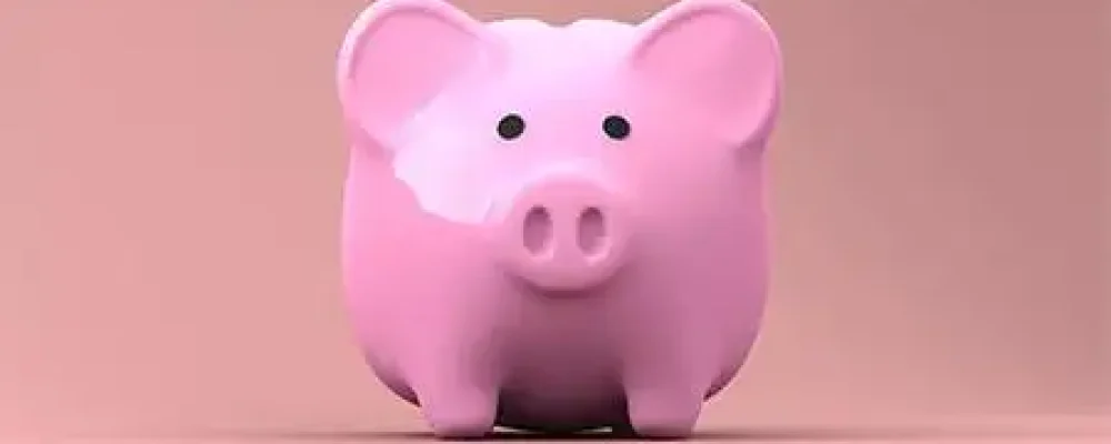 porco-da-economia-50x280-2