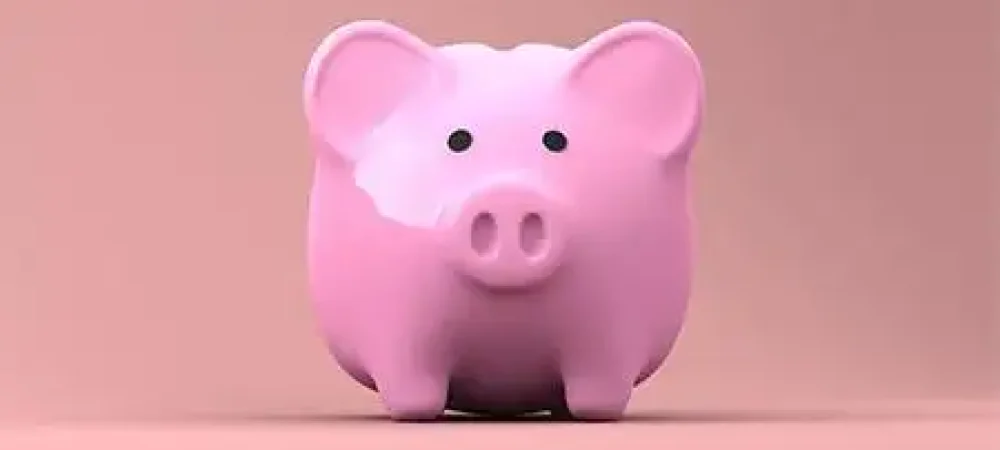 porco-da-economia-50×280-2 porco-da-economia-50x280-2