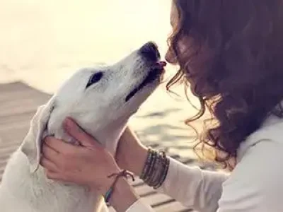 psicologia-canina3-2-1