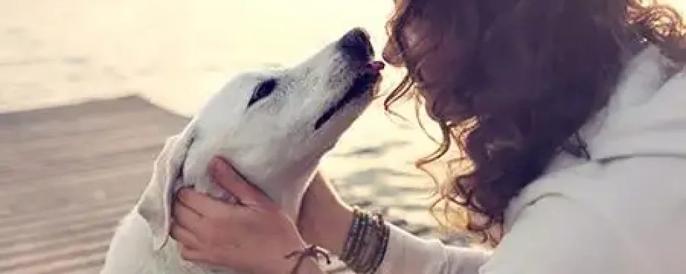 psicologia-canina3-2-1